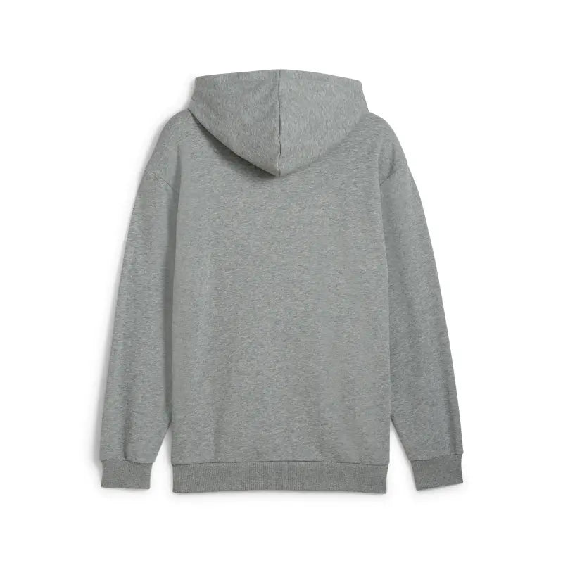 PUMA POWER Graphic Hoodie Men