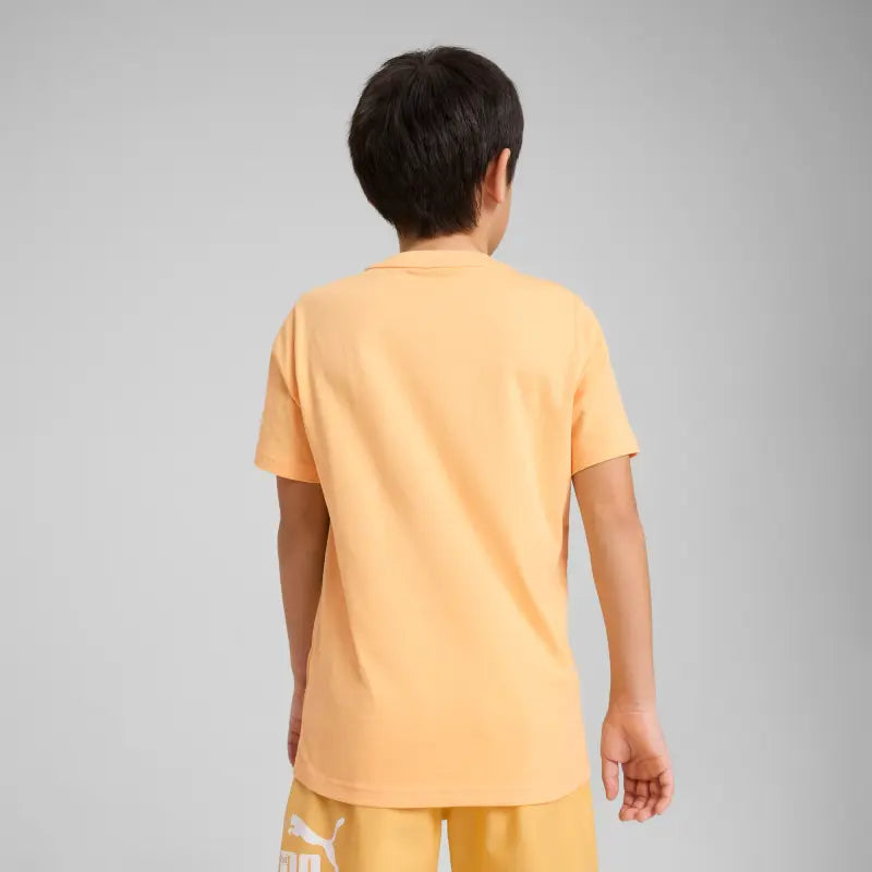 Essentials Logo Lab Summer Tee Youth