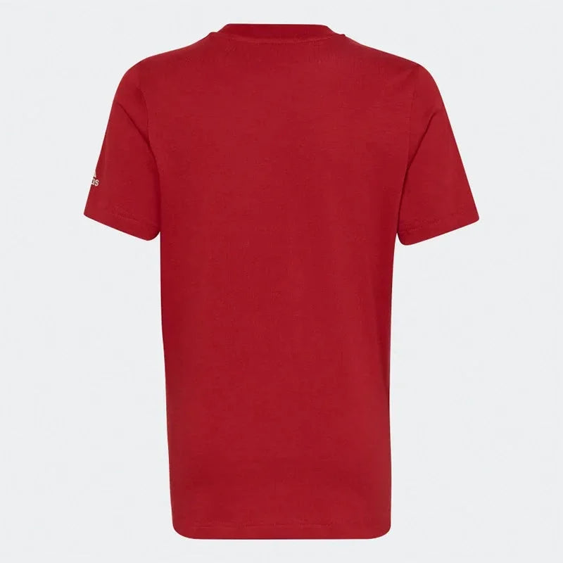 Adidas Kids Fifa World Cup 2022™ Official Emblem Tee Hd6385