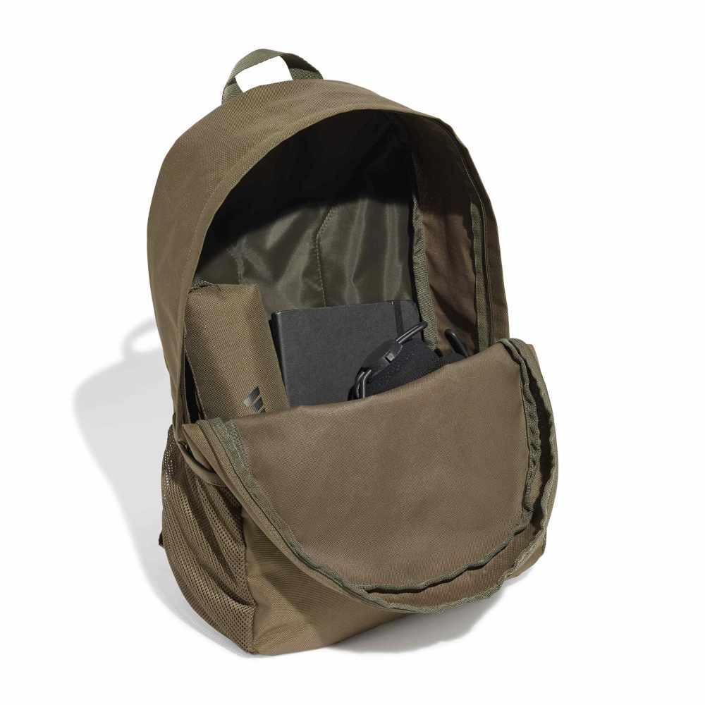 CLSC PCASE BP