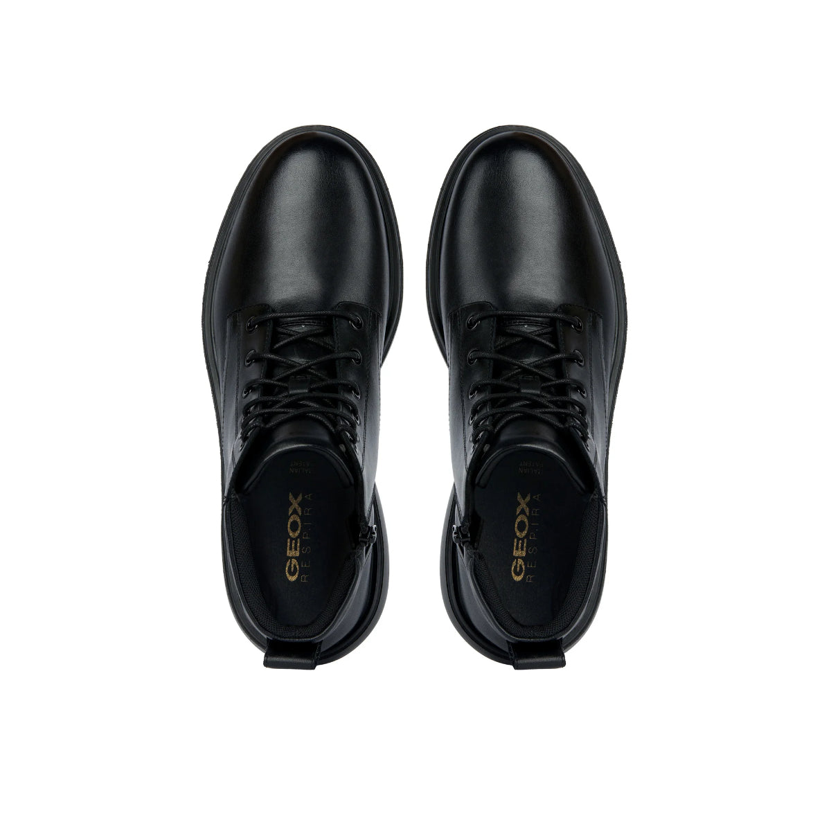 GEOX U Ottavio Booties