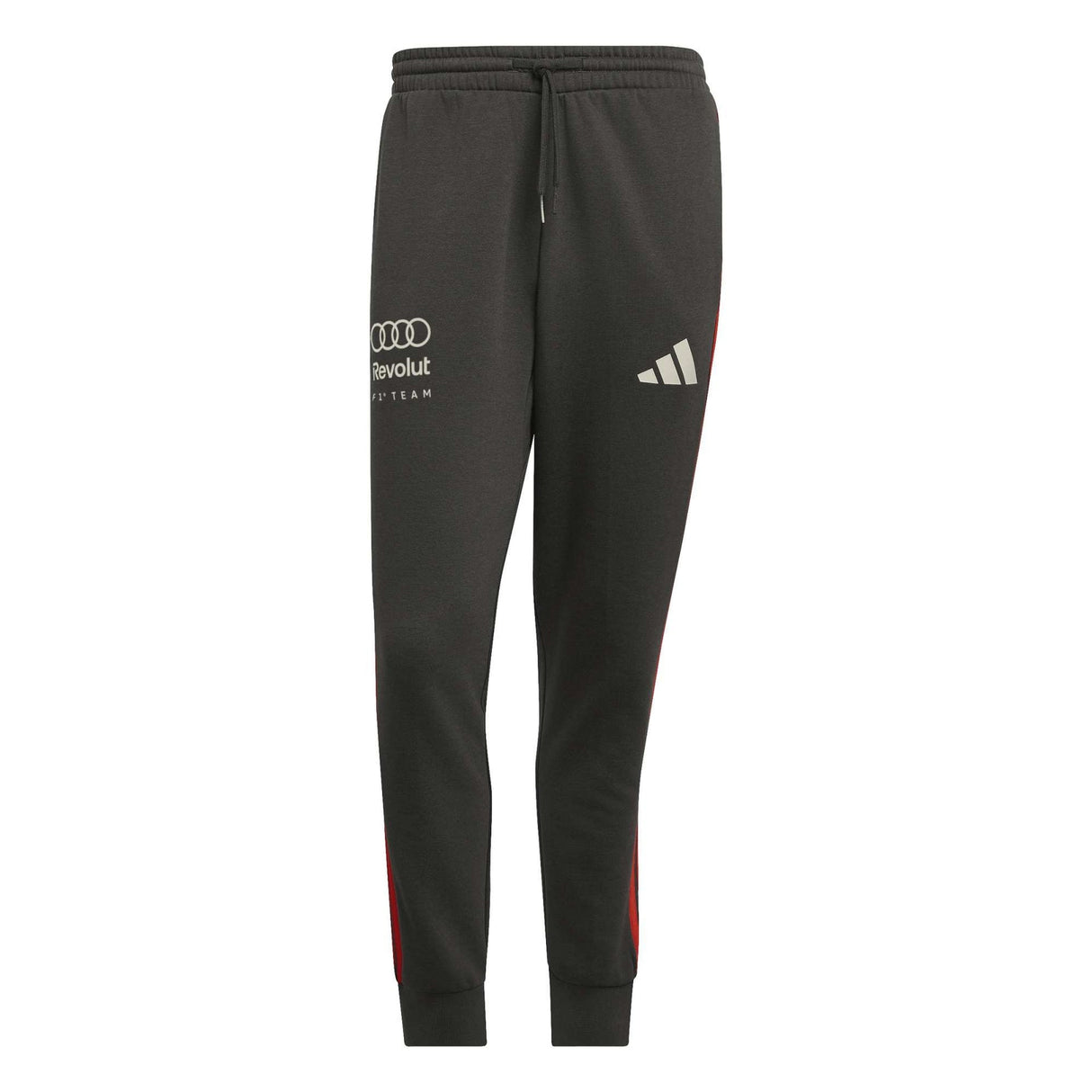 AUDI REVOLUT F1 TEAM DNA PANT - Runner