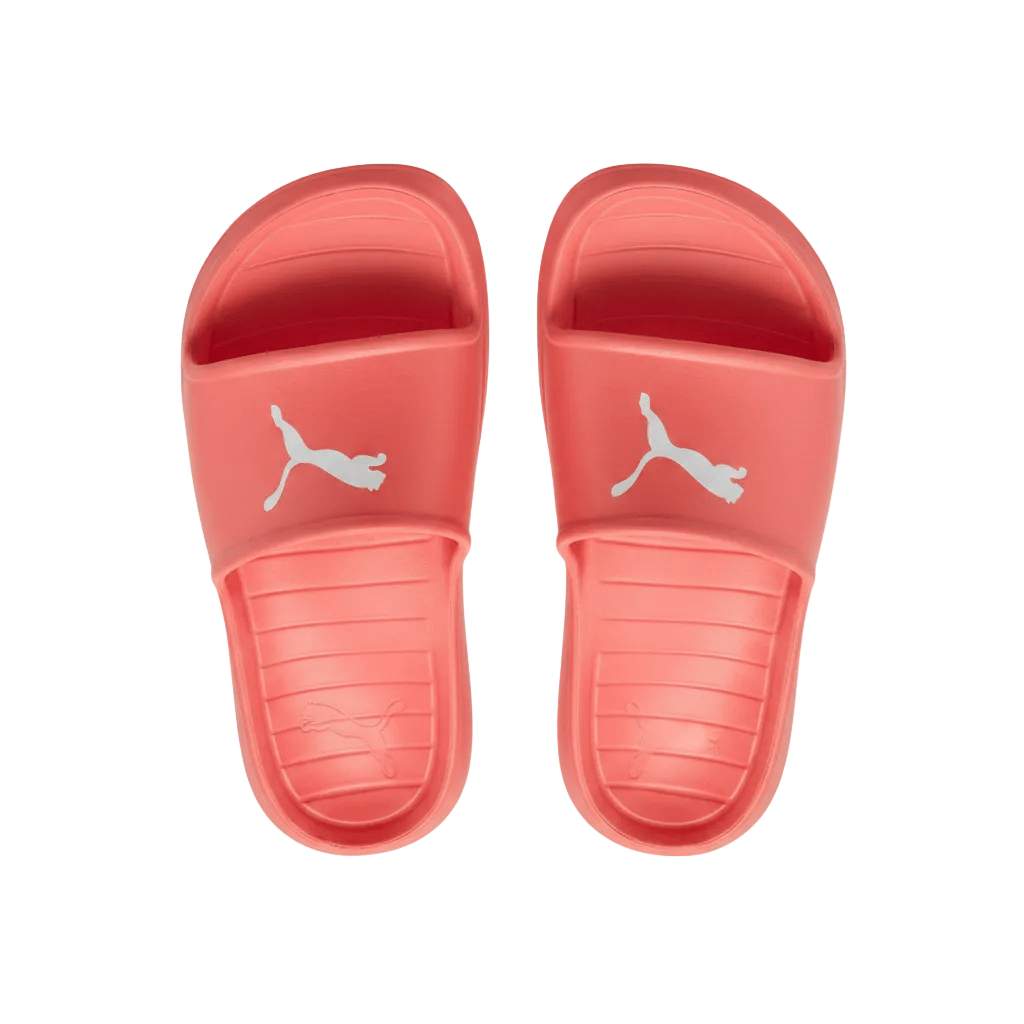 Divecat V2 Lite Slides - Runner
