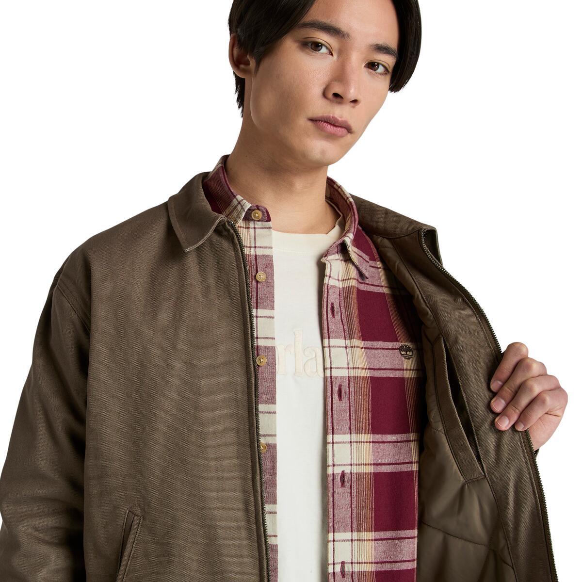 Hollis Insulated Canvas Jacket - Runner