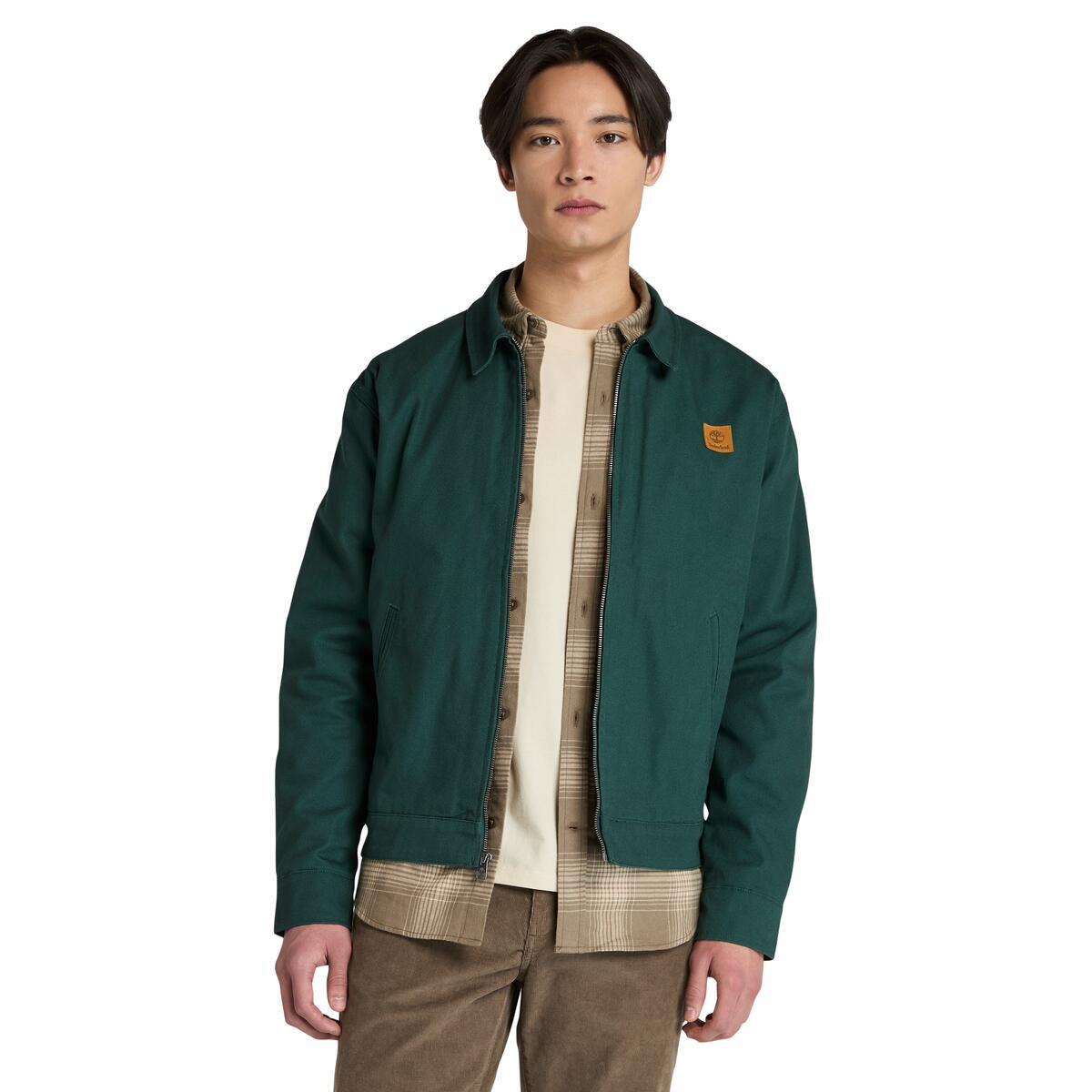 Hollis Insulated Canvas Jacket - Runner