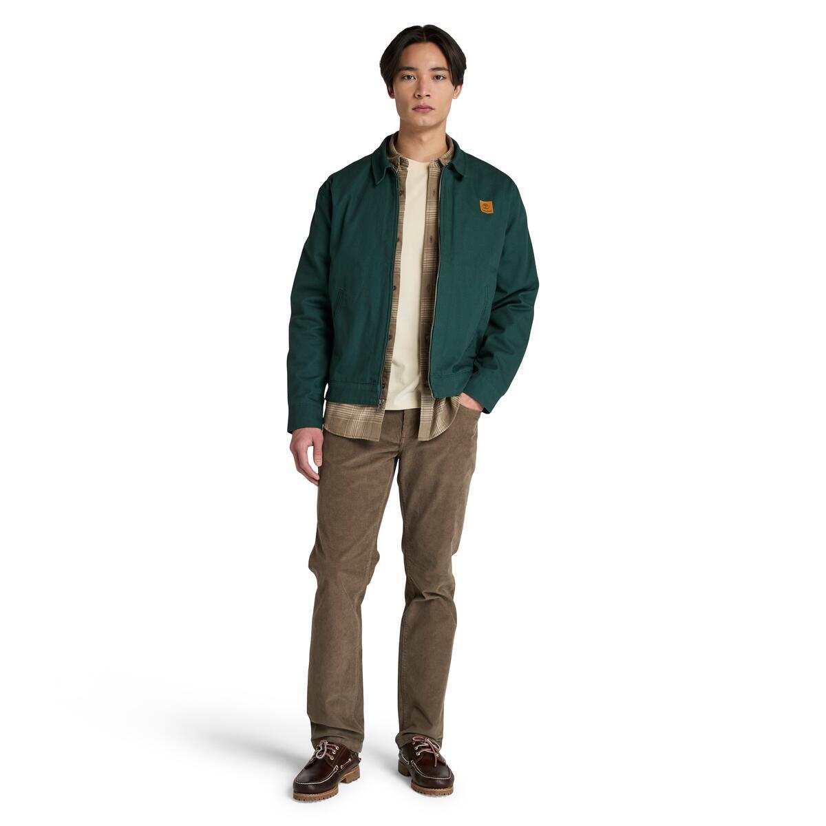 Hollis Insulated Canvas Jacket - Runner