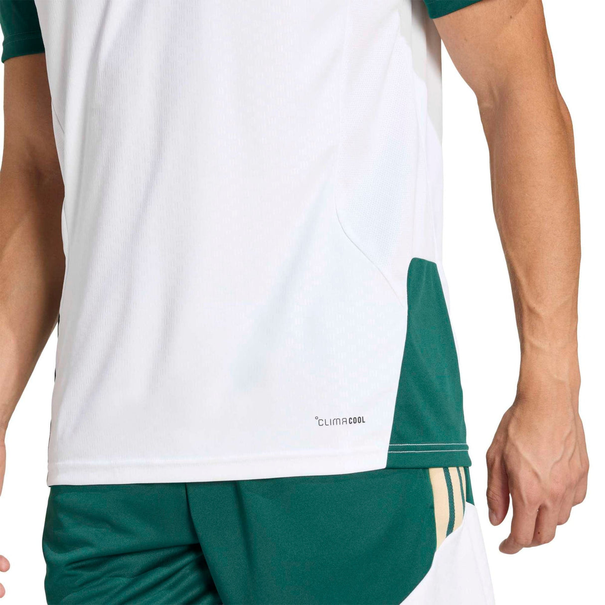 Italy 26 Tiro Training Jersey - Runner