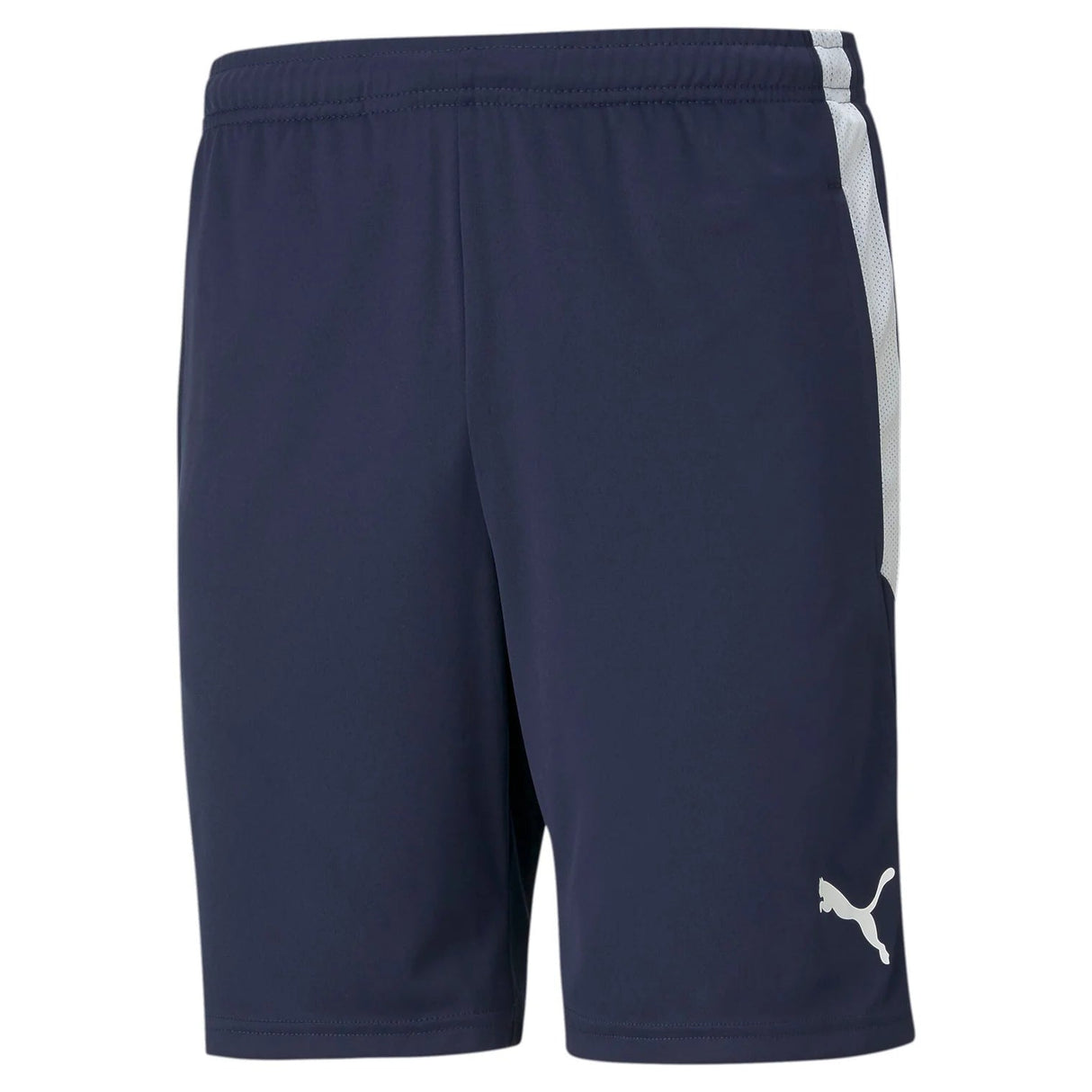 Teamliga Training Shorts - Runner