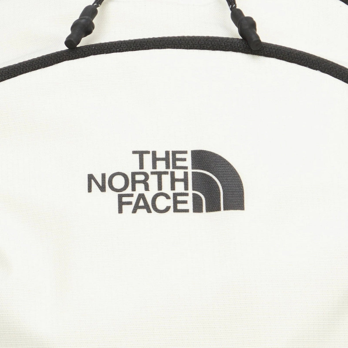 THE NORTH FACE ASCEND LT 15 Liter ALPINE BACKPACK TAKSE NB26 - Runner