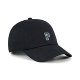 Wardrobe Essentials GRAPHIC Dad Cap