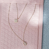 ALDO WOMEN NECKLACE | 13935303