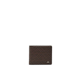 Greylag
