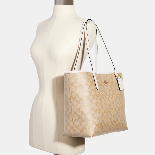 COACH Mini Rowan Crossbody Bag In Blocked Signature HB24