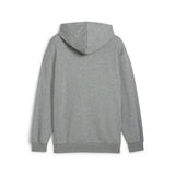 PUMA POWER Graphic Hoodie Men