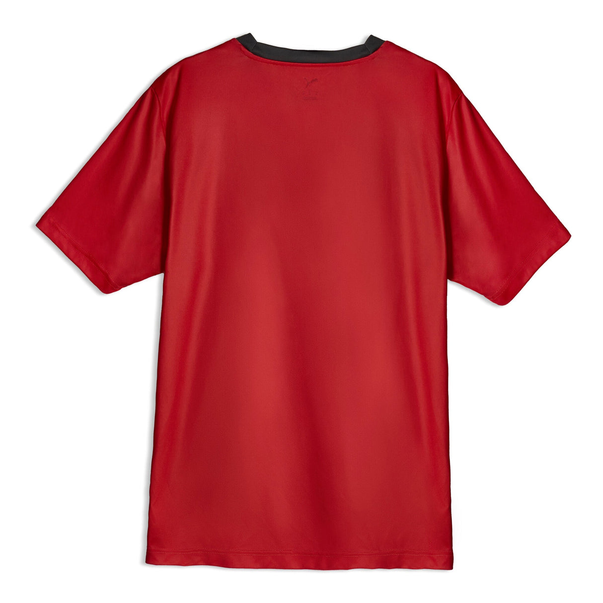 Egypt 2025 Fan Jersey Men
