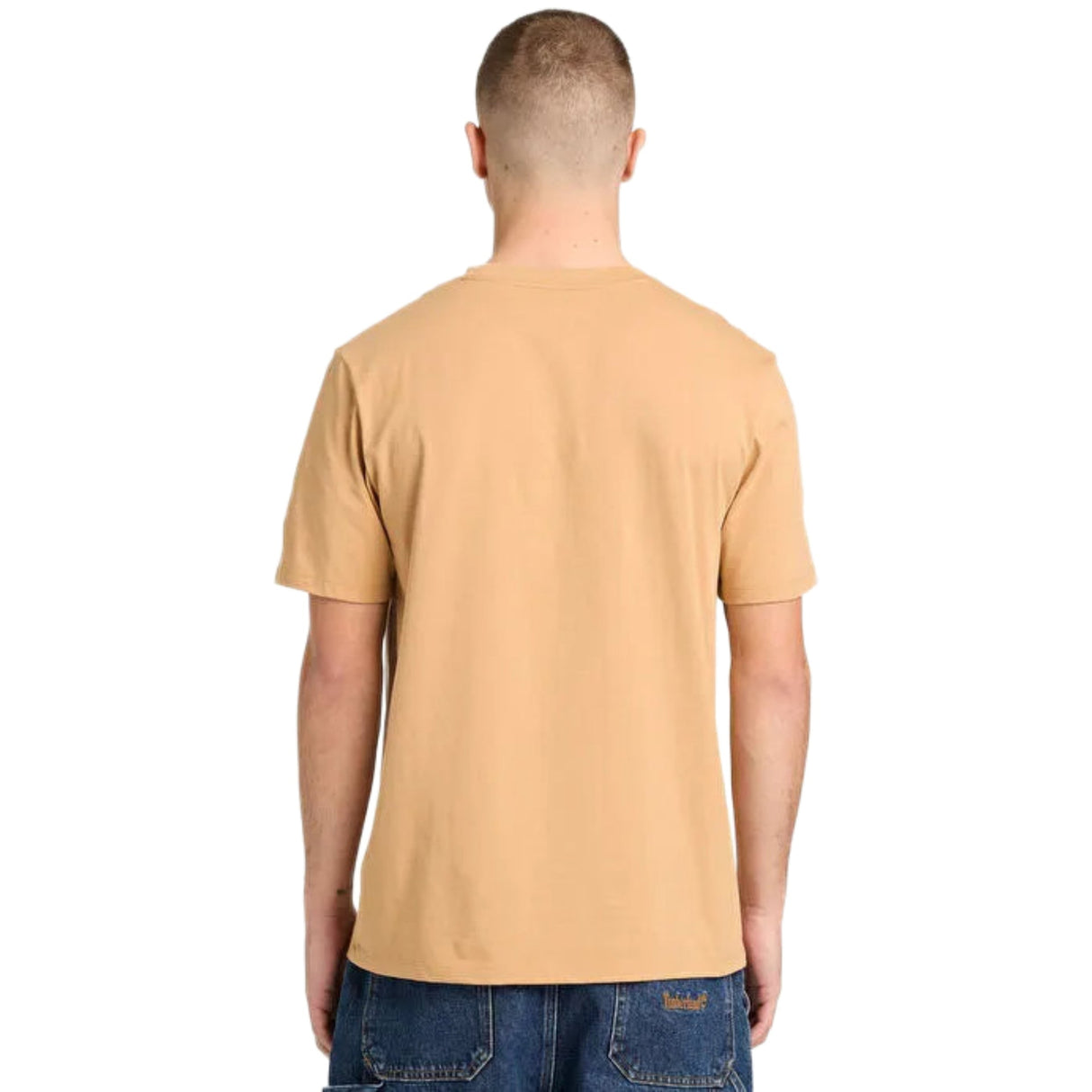Tree Logo Lake House Graphic Tee