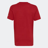 Adidas Kids Fifa World Cup 2022™ Official Emblem Tee Hd6385