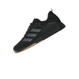 DROPSET 3 TRAINER