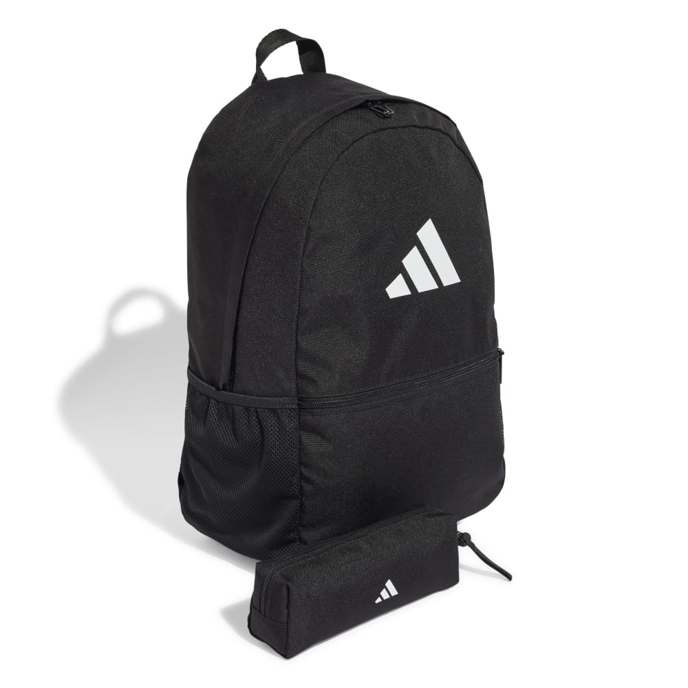 CLSC PCASE BP