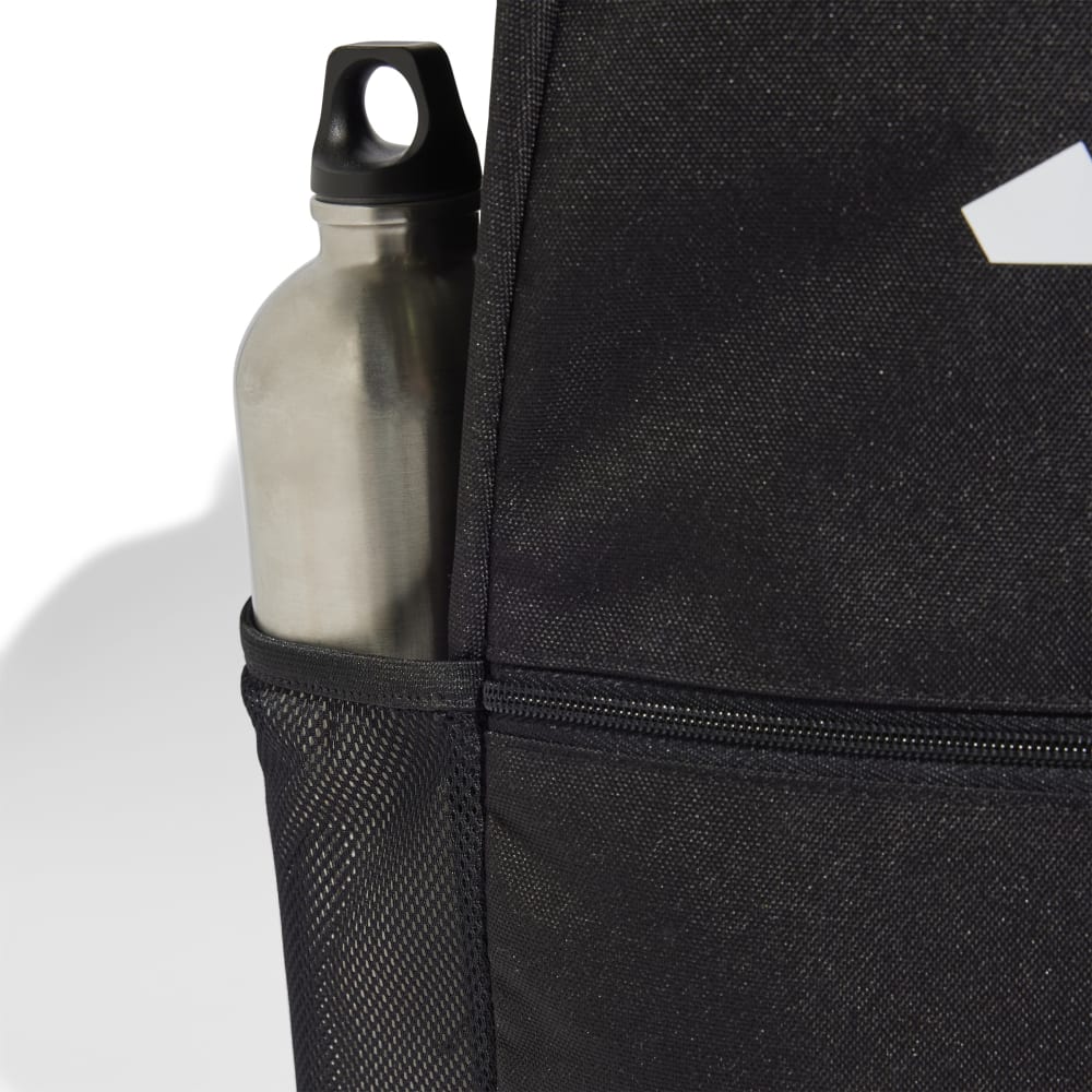 CLSC PCASE BP