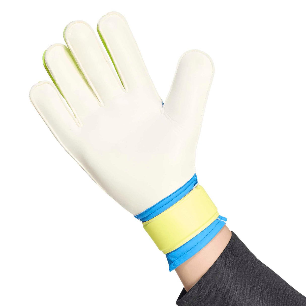 PREDATOR GOALKEEPER GLOVE TRAINING