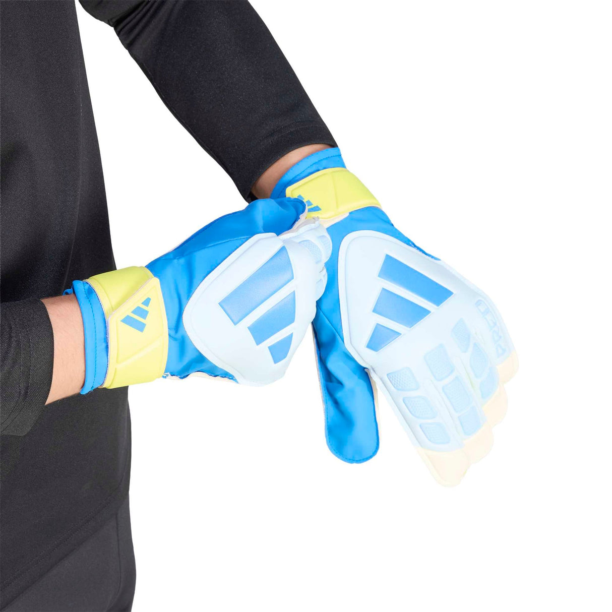 PREDATOR GOALKEEPER GLOVE TRAINING