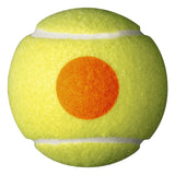 Starter Tennis Ball set of 48 - One Size