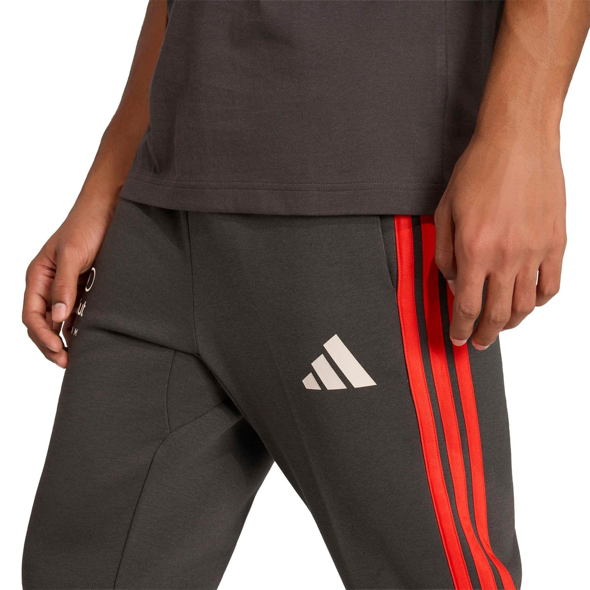 AUDI REVOLUT F1 TEAM DNA PANT - Runner