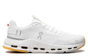 Cloudnova form 2 - Runner