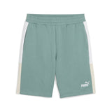 ESS BLOCK Shorts 10" - Runner