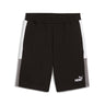 ESS BLOCK Shorts 10" - Runner