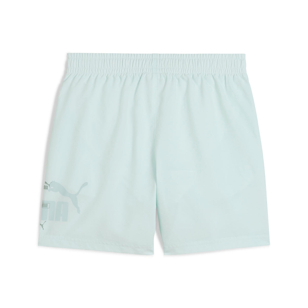 ESS LOGO LAB Summer - Runner
