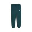 Essentials Colour No. 1 Logo Sweatpants Youth - Runner