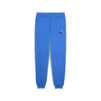 Essentials Colour No. 1 Logo Sweatpants Youth - Runner