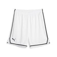 Hoops Team Game Shor - Runner
