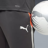 individualLIGA Training Pants Men - Runner