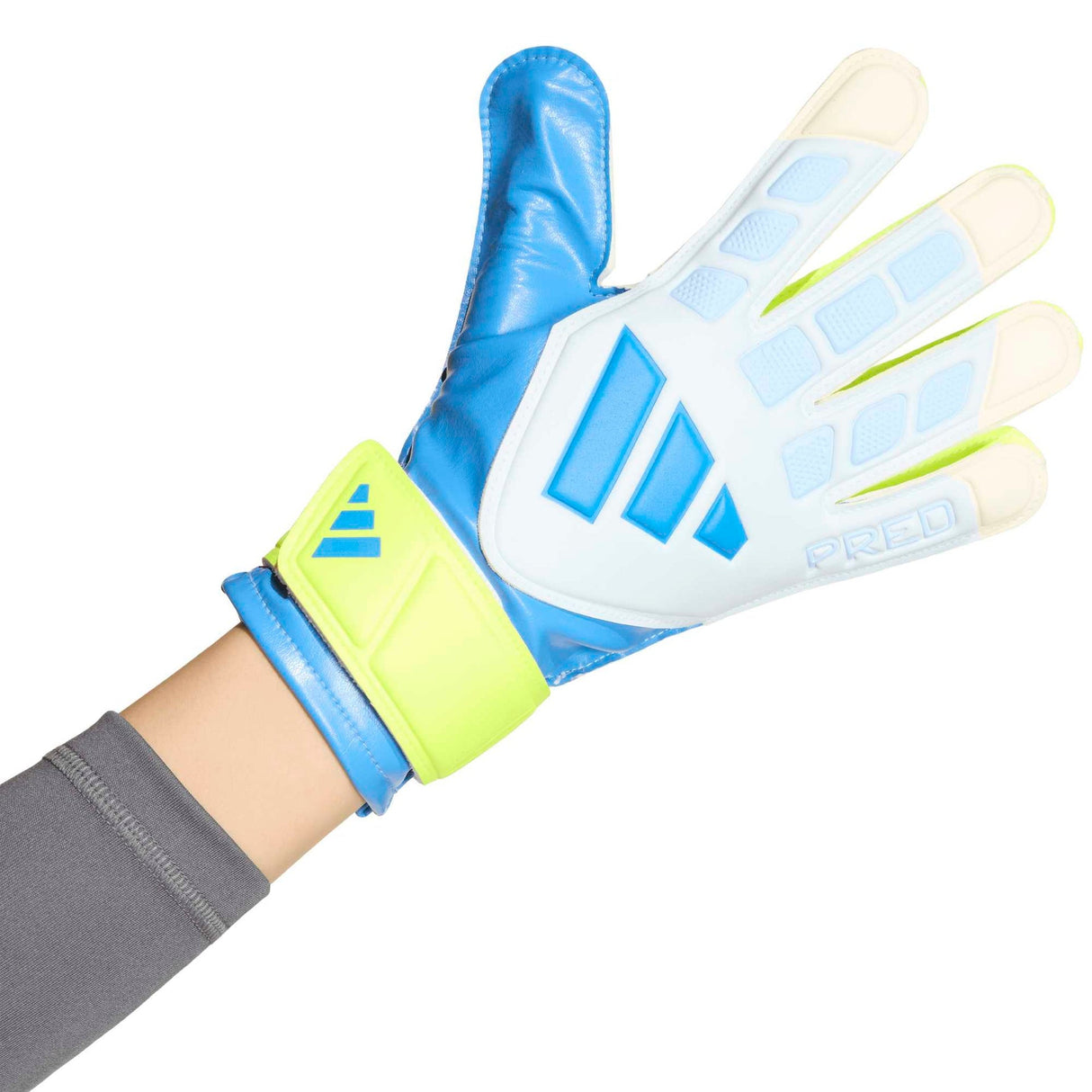 PREDATOR GOALKEEPER GLOVE TRAINING JUNIOR - Runner