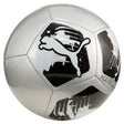 PUMA Big Cat Football Ball - Runner