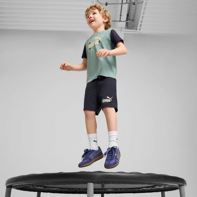 SANDY ADVENTURES Sho - Runner