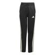 Stadium Track Pants - Runner