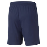 Teamliga Training Shorts - Runner