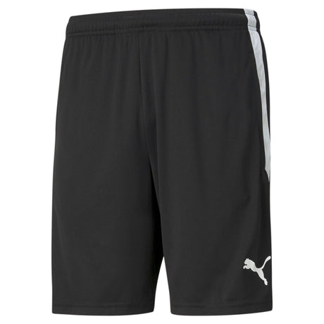 Teamliga Training Shorts - Runner