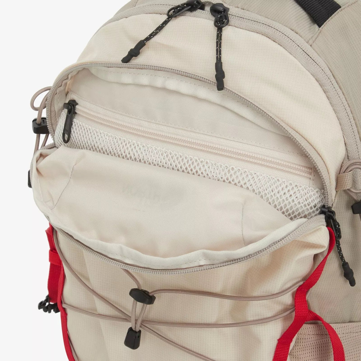 THE NORTH FACE ASCEND LT 15 Liter ALPINE BACKPACK TAKSE NB23 - Runner