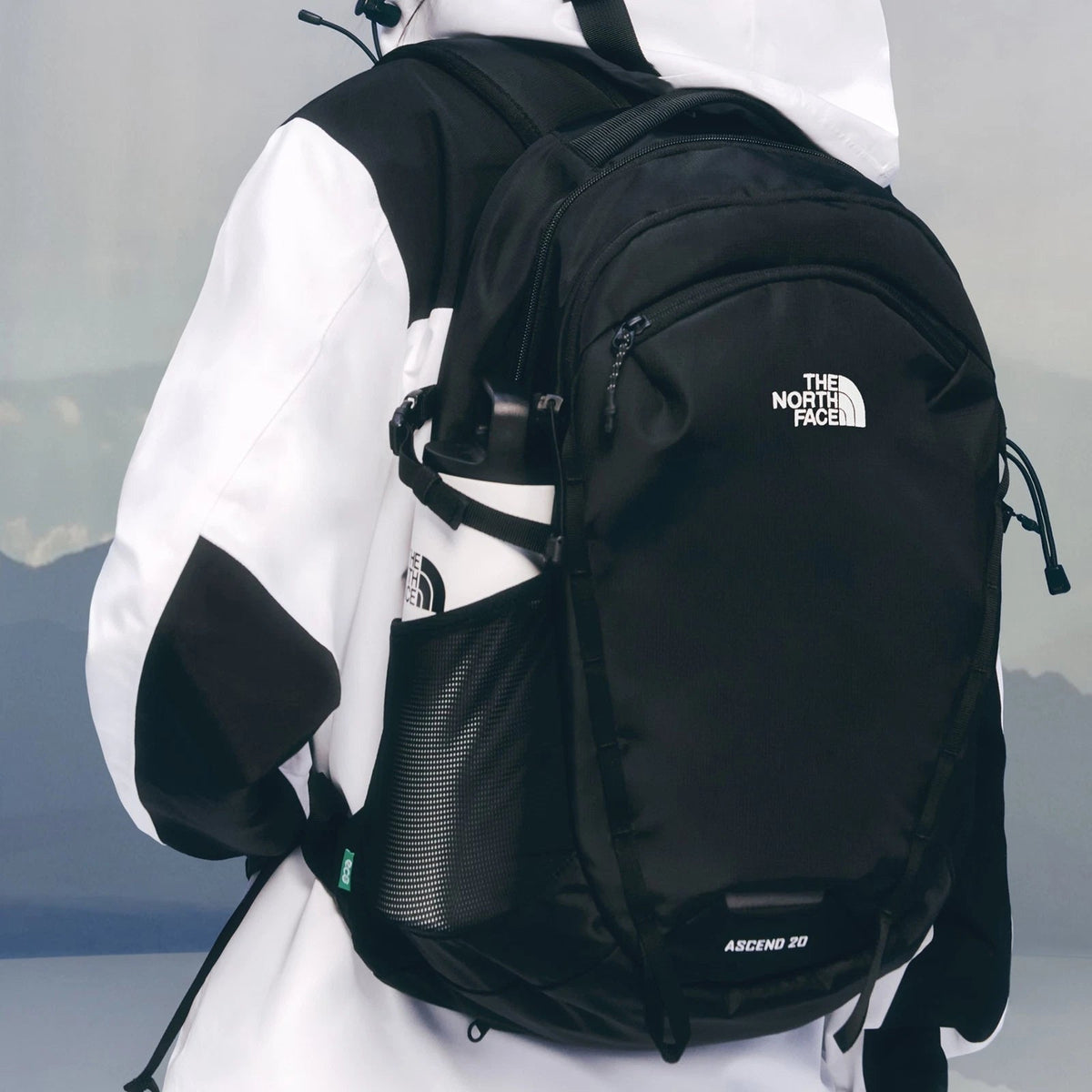 THE NORTH FACE ASCEND LT 20 Liter ALPINE BACKPACK TAKSE NB40 - Runner