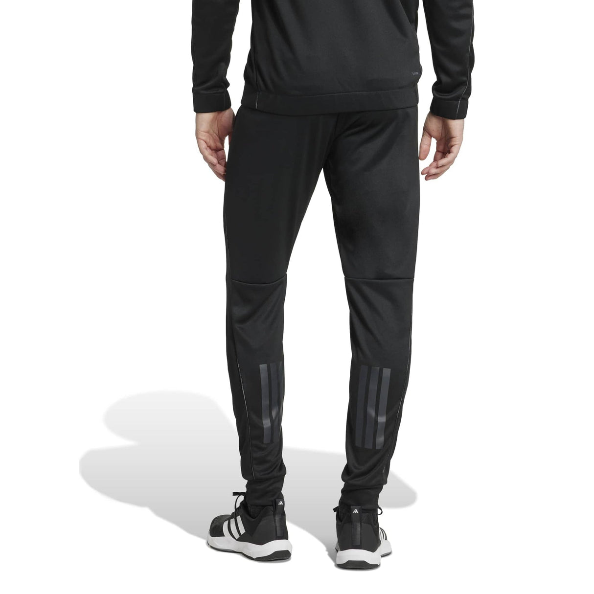 Train Essentials Seasonal Pant - Runner